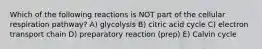 Which of the following reactions is NOT part of the cellular respiration pathway? A) glycolysis B) citric acid cycle C) electron transport chain D) preparatory reaction (prep) E) Calvin cycle