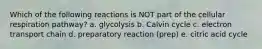 Which of the following reactions is NOT part of the cellular respiration pathway? a. glycolysis b. Calvin cycle c. electron transport chain d. preparatory reaction (prep) e. citric acid cycle