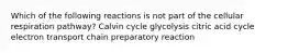 Which of the following reactions is not part of the cellular respiration pathway? Calvin cycle glycolysis citric acid cycle electron transport chain preparatory reaction