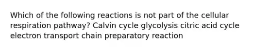 Which of the following reactions is not part of the cellular respiration pathway? Calvin cycle glycolysis citric acid cycle electron transport chain preparatory reaction