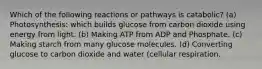 Which of the following reactions or pathways is catabolic? (a) Photosynthesis: which builds glucose from carbon dioxide using energy from light. (b) Making ATP from ADP and Phosphate. (c) Making starch from many glucose molecules. (d) Converting glucose to carbon dioxide and water (cellular respiration.