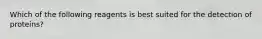 Which of the following reagents is best suited for the detection of proteins?