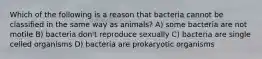 Which of the following is a reason that bacteria cannot be classified in the same way as animals? A) some bacteria are not motile B) bacteria don't reproduce sexually C) bacteria are single celled organisms D) bacteria are prokaryotic organisms