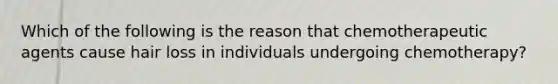 Which of the following is the reason that chemotherapeutic agents cause hair loss in individuals undergoing chemotherapy?