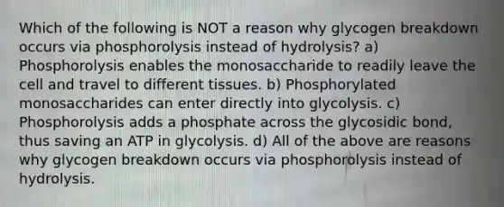 Which of the following is NOT a reason why glycogen breakdown occurs via phosphorolysis instead of hydrolysis? a) Phosphorolysis enables the monosaccharide to readily leave the cell and travel to different tissues. b) Phosphorylated monosaccharides can enter directly into glycolysis. c) Phosphorolysis adds a phosphate across the glycosidic bond, thus saving an ATP in glycolysis. d) All of the above are reasons why glycogen breakdown occurs via phosphorolysis instead of hydrolysis.