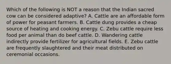 Which of the following is NOT a reason that the Indian sacred cow can be considered adaptive? A. Cattle are an affordable form of power for peasant farmers. B. Cattle dung provides a cheap source of heating and cooking energy. C. Zebu cattle require less food per animal than do beef cattle. D. Wandering cattle indirectly provide fertilizer for agricultural fields. E. Zebu cattle are frequently slaughtered and their meat distributed on ceremonial occasions.