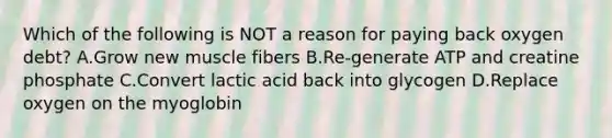 Which of the following is NOT a reason for paying back oxygen debt? A.Grow new muscle fibers B.Re-generate ATP and creatine phosphate C.Convert lactic acid back into glycogen D.Replace oxygen on the myoglobin