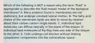 Which of the following is NOT a reason why the term "fluid" is appropriate to describe the fluid mosaic model of the biological membrane? A. Many proteins found in membranes are not stationary, but undergo constant lateral motion. B. The fatty acid chains of the membrane lipids are able to move by rotation about their carbon-carbon single bonds. C. Individual lipid molecules can diffuse laterally in the plane of the bilayer. D. Individual lipid molecules of flip-flop from one side of the bilayer to the other. E. Cells undergo cell division without leaking cytoplasmic components into the extracellular space.