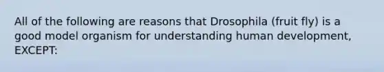 All of the following are reasons that Drosophila (fruit fly) is a good model organism for understanding human development, EXCEPT: