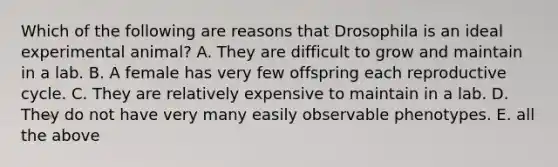 Which of the following are reasons that Drosophila is an ideal experimental animal? A. They are difficult to grow and maintain in a lab. B. A female has very few offspring each reproductive cycle. C. They are relatively expensive to maintain in a lab. D. They do not have very many easily observable phenotypes. E. all the above