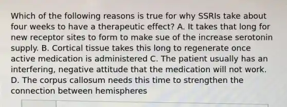 Which of the following reasons is true for why SSRIs take about four weeks to have a therapeutic effect? A. It takes that long for new receptor sites to form to make sue of the increase serotonin supply. B. Cortical tissue takes this long to regenerate once active medication is administered C. The patient usually has an interfering, negative attitude that the medication will not work. D. The corpus callosum needs this time to strengthen the connection between hemispheres