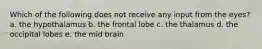 Which of the following does not receive any input from the eyes? a. the hypothalamus b. the frontal lobe c. the thalamus d. the occipital lobes e. the mid brain