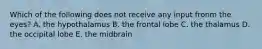 Which of the following does not receive any input fronm the eyes? A. the hypothalamus B. the frontal lobe C. the thalamus D. the occipital lobe E. the midbrain