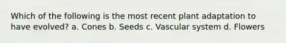 Which of the following is the most recent plant adaptation to have evolved? a. Cones b. Seeds c. Vascular system d. Flowers