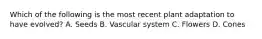 Which of the following is the most recent plant adaptation to have evolved? A. Seeds B. Vascular system C. Flowers D. Cones