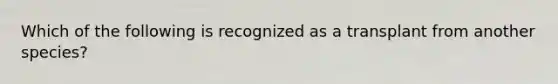 Which of the following is recognized as a transplant from another species?