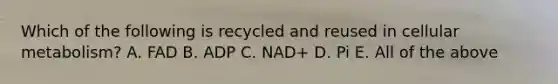 Which of the following is recycled and reused in cellular metabolism? A. FAD B. ADP C. NAD+ D. Pi E. All of the above