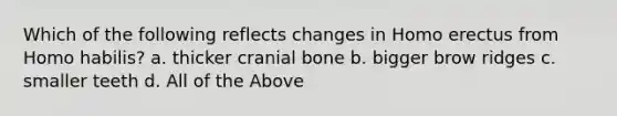 Which of the following reflects changes in Homo erectus from Homo habilis? a. thicker cranial bone b. bigger brow ridges c. smaller teeth d. All of the Above