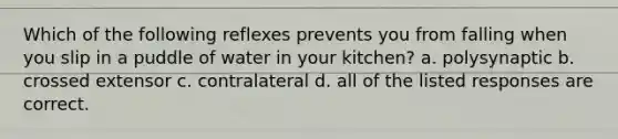 Which of the following reflexes prevents you from falling when you slip in a puddle of water in your kitchen? a. polysynaptic b. crossed extensor c. contralateral d. all of the listed responses are correct.