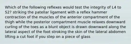 Which of the following reflexes would test the integrity of L4 to S2? striking the patellar ligament with a reflex hammer contraction of the muscles of the anterior compartment of the thigh while the posterior compartment muscle relaxes downward curling of the toes as a blunt object is drawn downward along the lateral aspect of the foot stroking the skin of the lateral abdomen lifting a cut foot if you step on a piece of glass