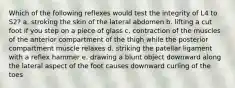 Which of the following reflexes would test the integrity of L4 to S2? a. stroking the skin of the lateral abdomen b. lifting a cut foot if you step on a piece of glass c. contraction of the muscles of the anterior compartment of the thigh while the posterior compartment muscle relaxes d. striking the patellar ligament with a reflex hammer e. drawing a blunt object downward along the lateral aspect of the foot causes downward curling of the toes