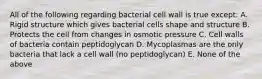 All of the following regarding bacterial cell wall is true except: A. Rigid structure which gives bacterial cells shape and structure B. Protects the cell from changes in osmotic pressure C. Cell walls of bacteria contain peptidoglycan D. Mycoplasmas are the only bacteria that lack a cell wall (no peptidoglycan) E. None of the above