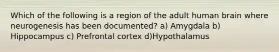 Which of the following is a region of the adult human brain where neurogenesis has been documented? a) Amygdala b) Hippocampus c) Prefrontal cortex d)Hypothalamus