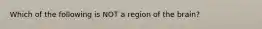 Which of the following is NOT a region of the brain?