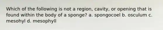 Which of the following is not a region, cavity, or opening that is found within the body of a sponge? a. spongocoel b. osculum c. mesohyl d. mesophyll