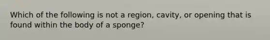 Which of the following is not a region, cavity, or opening that is found within the body of a sponge?