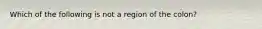 Which of the following is not a region of the colon?