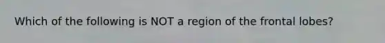 Which of the following is NOT a region of the frontal lobes?