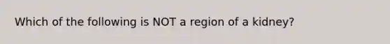 Which of the following is NOT a region of a kidney?