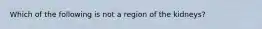 Which of the following is not a region of the kidneys?