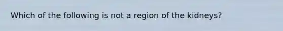 Which of the following is not a region of the kidneys?