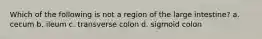 Which of the following is not a region of the large intestine? a. cecum b. ileum c. transverse colon d. sigmoid colon