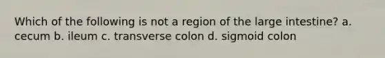 Which of the following is not a region of the large intestine? a. cecum b. ileum c. transverse colon d. sigmoid colon