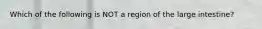 Which of the following is NOT a region of the large intestine?