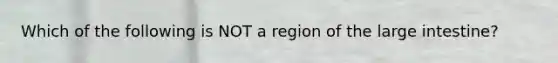 Which of the following is NOT a region of the large intestine?