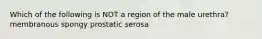 Which of the following is NOT a region of the male urethra? membranous spongy prostatic serosa