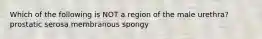 Which of the following is NOT a region of the male urethra? prostatic serosa membranous spongy