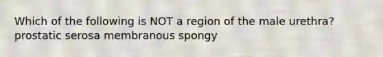 Which of the following is NOT a region of the male urethra? prostatic serosa membranous spongy