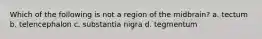 Which of the following is not a region of the midbrain? a. tectum b. telencephalon c. substantia nigra d. tegmentum