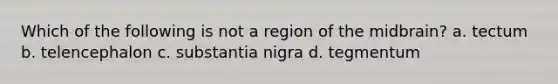 Which of the following is not a region of the midbrain? a. tectum b. telencephalon c. substantia nigra d. tegmentum