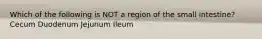 Which of the following is NOT a region of the small intestine? Cecum Duodenum Jejunum Ileum