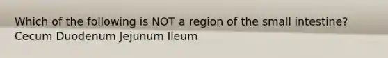 Which of the following is NOT a region of the small intestine? Cecum Duodenum Jejunum Ileum