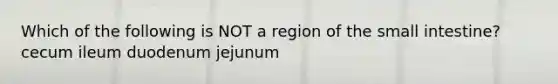 Which of the following is NOT a region of the small intestine? cecum ileum duodenum jejunum