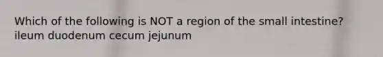 Which of the following is NOT a region of the small intestine? ileum duodenum cecum jejunum