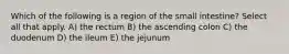 Which of the following is a region of the small intestine? Select all that apply. A) the rectum B) the ascending colon C) the duodenum D) the ileum E) the jejunum