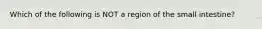 Which of the following is NOT a region of the small intestine?